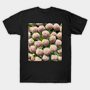 Round Flowers T-Shirt